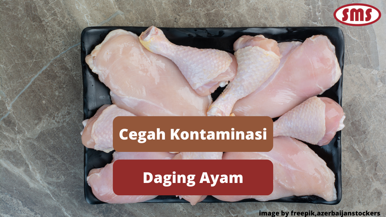 Langkah Mencegah Kontaminasi Daging Ayam